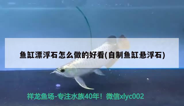 魚缸漂浮石怎么做的好看(自制魚缸懸浮石) 玫瑰銀版魚