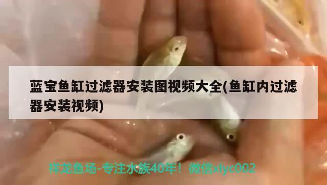 藍(lán)寶魚缸過濾器安裝圖視頻大全(魚缸內(nèi)過濾器安裝視頻)