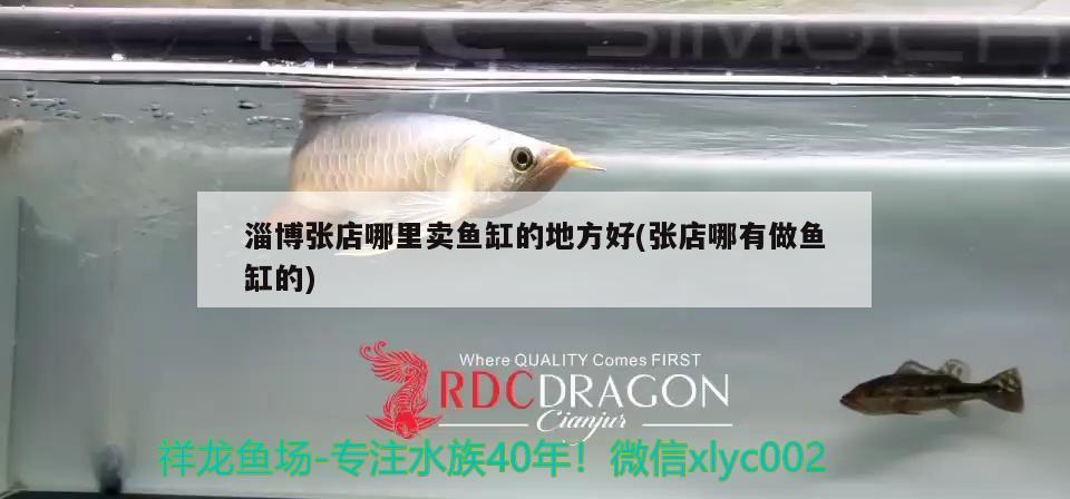 淄博張店哪里賣魚缸的地方好(張店哪有做魚缸的) 白子銀龍魚苗