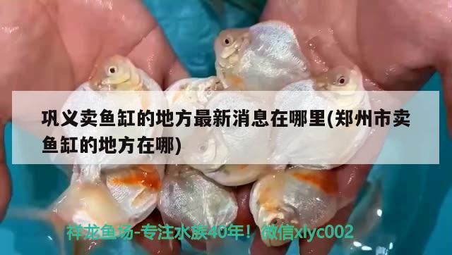 鞏義賣魚缸的地方最新消息在哪里(鄭州市賣魚缸的地方在哪) 粗線銀版魚