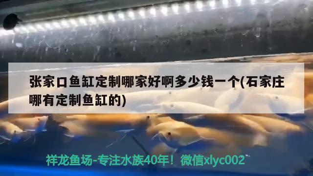 張家口魚缸定制哪家好啊多少錢一個(gè)(石家莊哪有定制魚缸的)