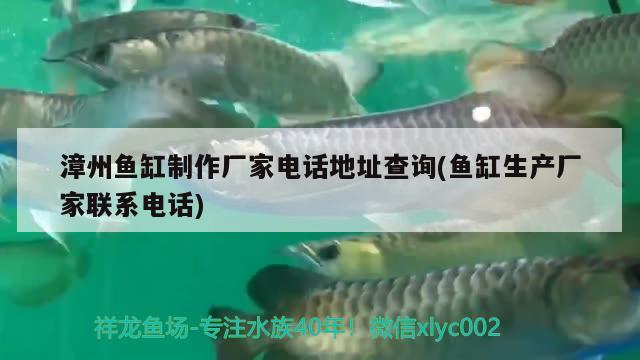 漳州魚缸制作廠家電話地址查詢(魚缸生產(chǎn)廠家聯(lián)系電話) 魚缸凈水劑