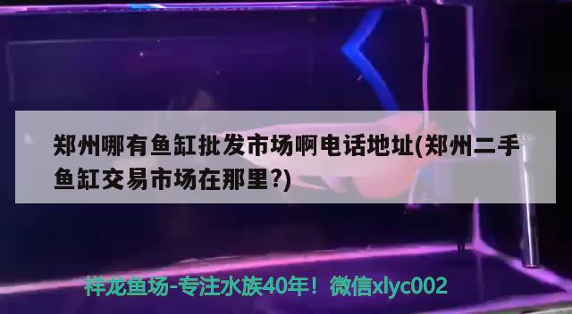 鄭州哪有魚缸批發(fā)市場啊電話地址(鄭州二手魚缸交易市場在那里?)