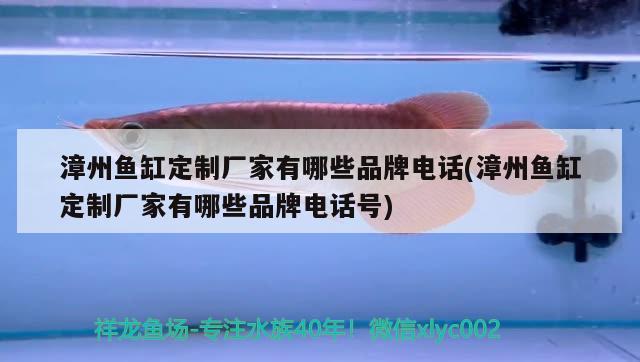 漳州魚缸定制廠家有哪些品牌電話(漳州魚缸定制廠家有哪些品牌電話號)