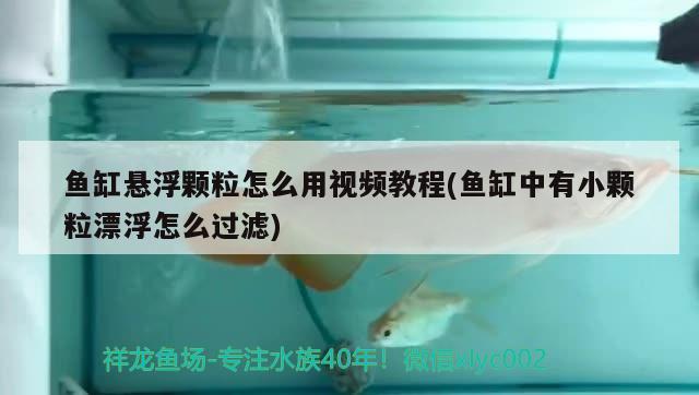 魚缸懸浮顆粒怎么用視頻教程(魚缸中有小顆粒漂浮怎么過濾)