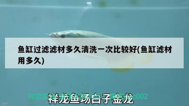 魚缸過濾濾材多久清洗一次比較好(魚缸濾材用多久)