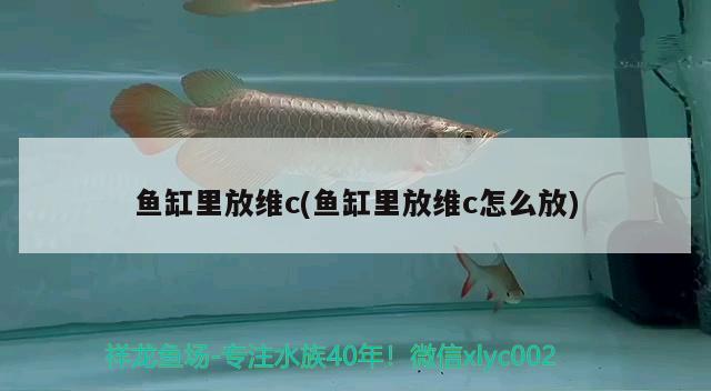 魚缸里放維c(魚缸里放維c怎么放) 福魟魟魚