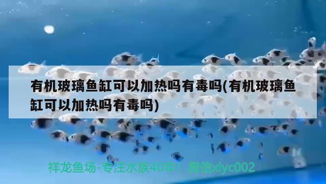 有機玻璃魚缸可以加熱嗎有毒嗎(有機玻璃魚缸可以加熱嗎有毒嗎) 白子關(guān)刀魚 第3張