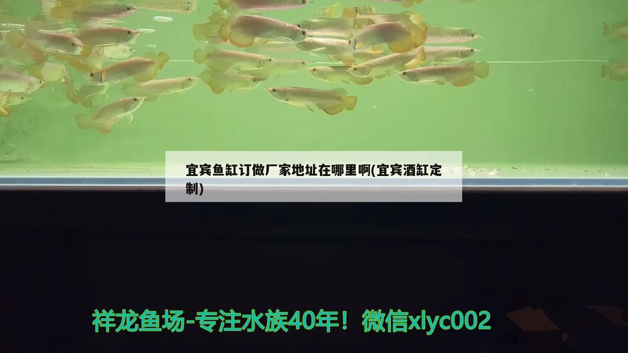 宜賓魚缸訂做廠家地址在哪里啊(宜賓酒缸定制)