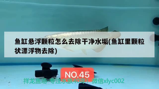 魚缸懸浮顆粒怎么去除干凈水垢(魚缸里顆粒狀漂浮物去除) 野彩魚