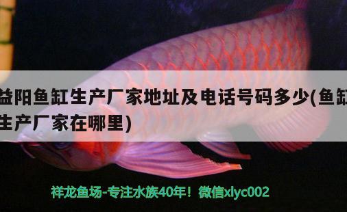 益陽魚缸生產(chǎn)廠家地址及電話號碼多少(魚缸生產(chǎn)廠家在哪里)