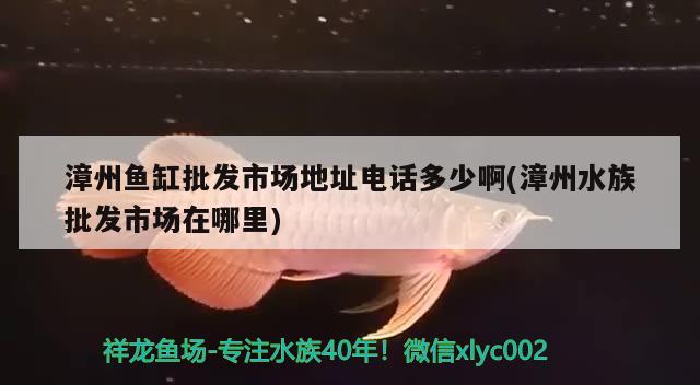 漳州魚缸批發(fā)市場地址電話多少啊(漳州水族批發(fā)市場在哪里) 觀賞魚水族批發(fā)市場