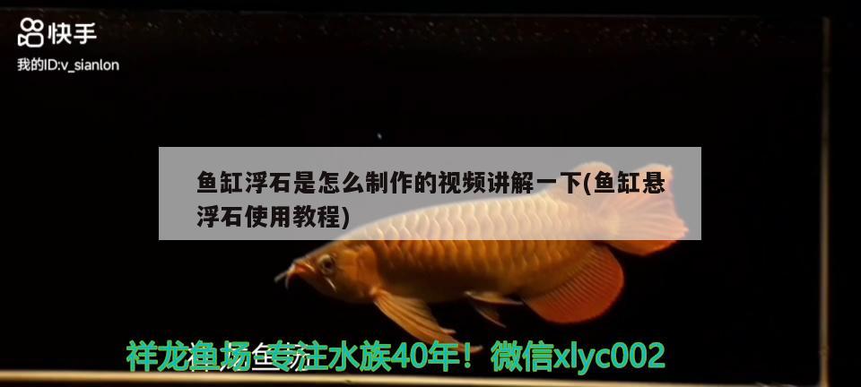 魚缸浮石是怎么制作的視頻講解一下(魚缸懸浮石使用教程)