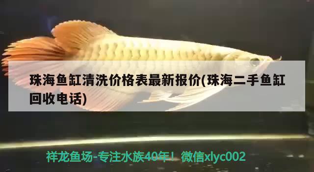 珠海魚缸清洗價格表最新報價(珠海二手魚缸回收電話) 狗仔招財貓魚