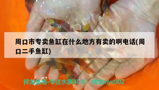 周口市專賣魚缸在什么地方有賣的啊電話(周口二手魚缸) 錦鯉池魚池建設(shè)