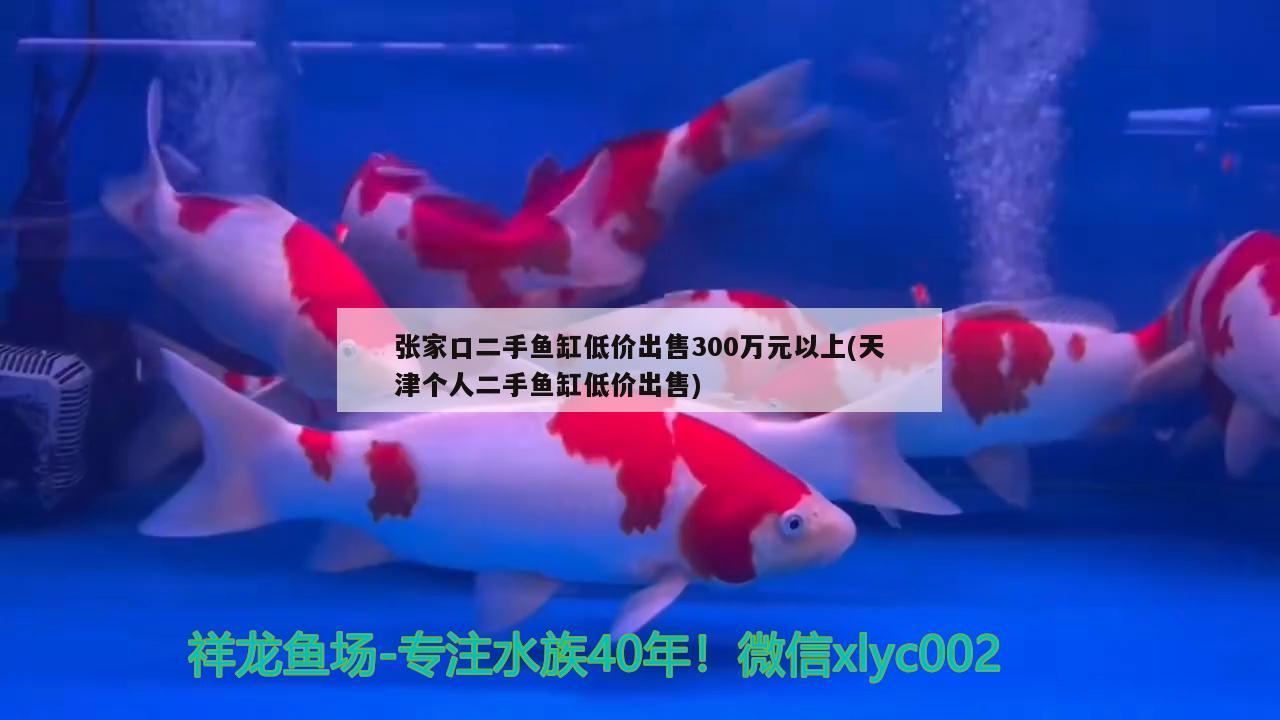 張家口二手魚缸低價(jià)出售300萬元以上(天津個(gè)人二手魚缸低價(jià)出售) 斑馬鴨嘴魚苗