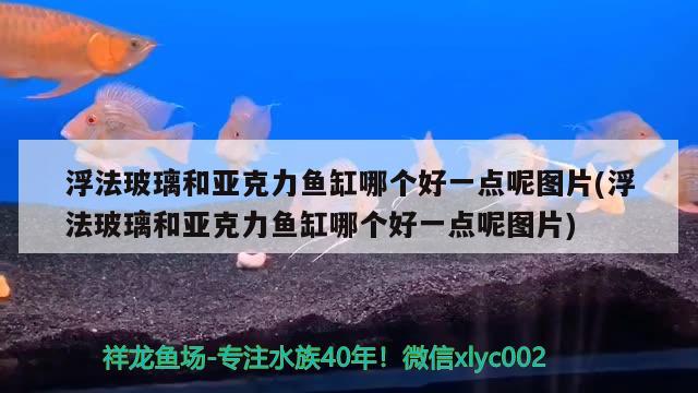 浮法玻璃和亞克力魚(yú)缸哪個(gè)好一點(diǎn)呢圖片(浮法玻璃和亞克力魚(yú)缸哪個(gè)好一點(diǎn)呢圖片) 斑馬鴨嘴魚(yú)苗