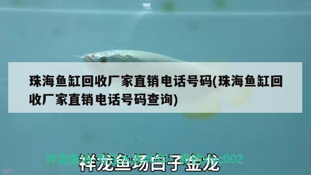 珠海魚缸回收廠家直銷電話號碼(珠海魚缸回收廠家直銷電話號碼查詢)