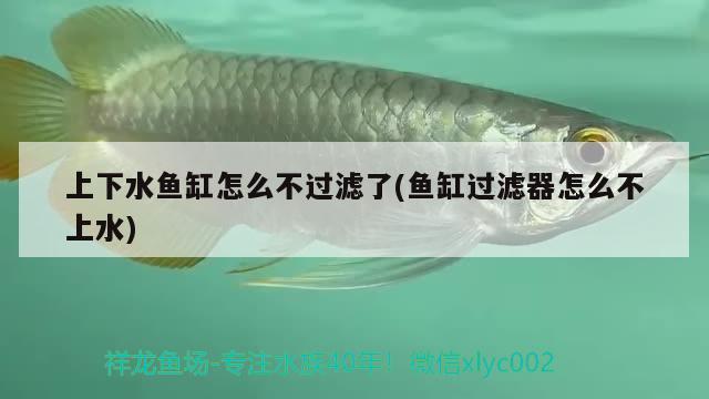 上下水魚缸怎么不過濾了(魚缸過濾器怎么不上水) 錦鯉魚百科