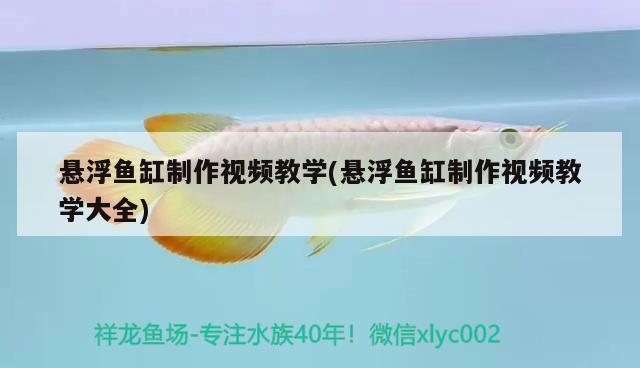 懸浮魚缸制作視頻教學(xué)(懸浮魚缸制作視頻教學(xué)大全) 觀賞魚百科