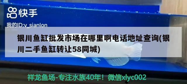 銀川魚缸批發(fā)市場在哪里啊電話地址查詢(銀川二手魚缸轉(zhuǎn)讓58同城) 狗仔（招財(cái)貓)魚苗