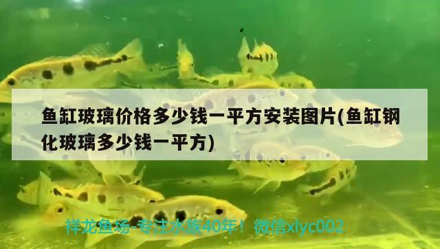 魚缸玻璃價格多少錢一平方安裝圖片(魚缸鋼化玻璃多少錢一平方) 魚缸水泵