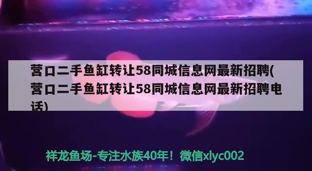 營口二手魚缸轉(zhuǎn)讓58同城信息網(wǎng)最新招聘(營口二手魚缸轉(zhuǎn)讓58同城信息網(wǎng)最新招聘電話) 斑馬狗頭魚