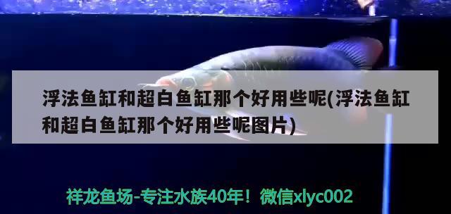 浮法魚缸和超白魚缸那個好用些呢(浮法魚缸和超白魚缸那個好用些呢圖片)