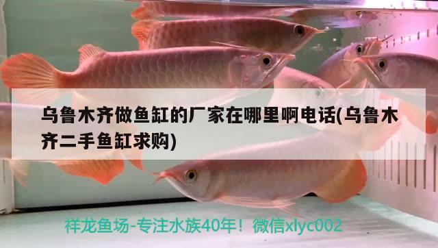 烏魯木齊做魚(yú)缸的廠家在哪里啊電話(huà)(烏魯木齊二手魚(yú)缸求購(gòu))