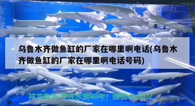 烏魯木齊做魚缸的廠家在哪里啊電話(烏魯木齊做魚缸的廠家在哪里啊電話號碼) 豬鼻龜百科