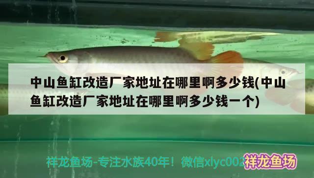 中山魚缸改造廠家地址在哪里啊多少錢(中山魚缸改造廠家地址在哪里啊多少錢一個(gè)) 委內(nèi)瑞拉奧里諾三間魚