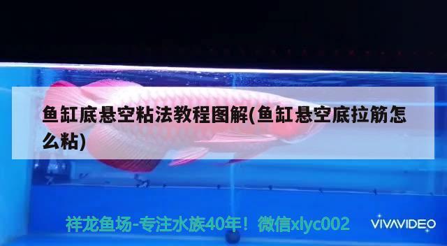 魚缸底懸空粘法教程圖解(魚缸懸空底拉筋怎么粘)