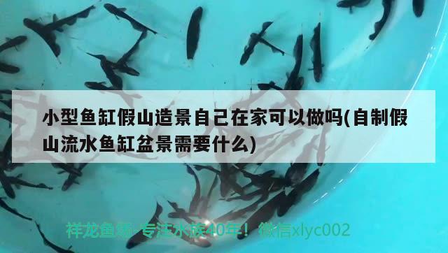 小型魚缸假山造景自己在家可以做嗎(自制假山流水魚缸盆景需要什么) 大湖紅龍魚