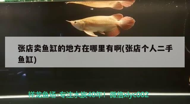 張店賣(mài)魚(yú)缸的地方在哪里有啊(張店個(gè)人二手魚(yú)缸) 魚(yú)缸等水族設(shè)備