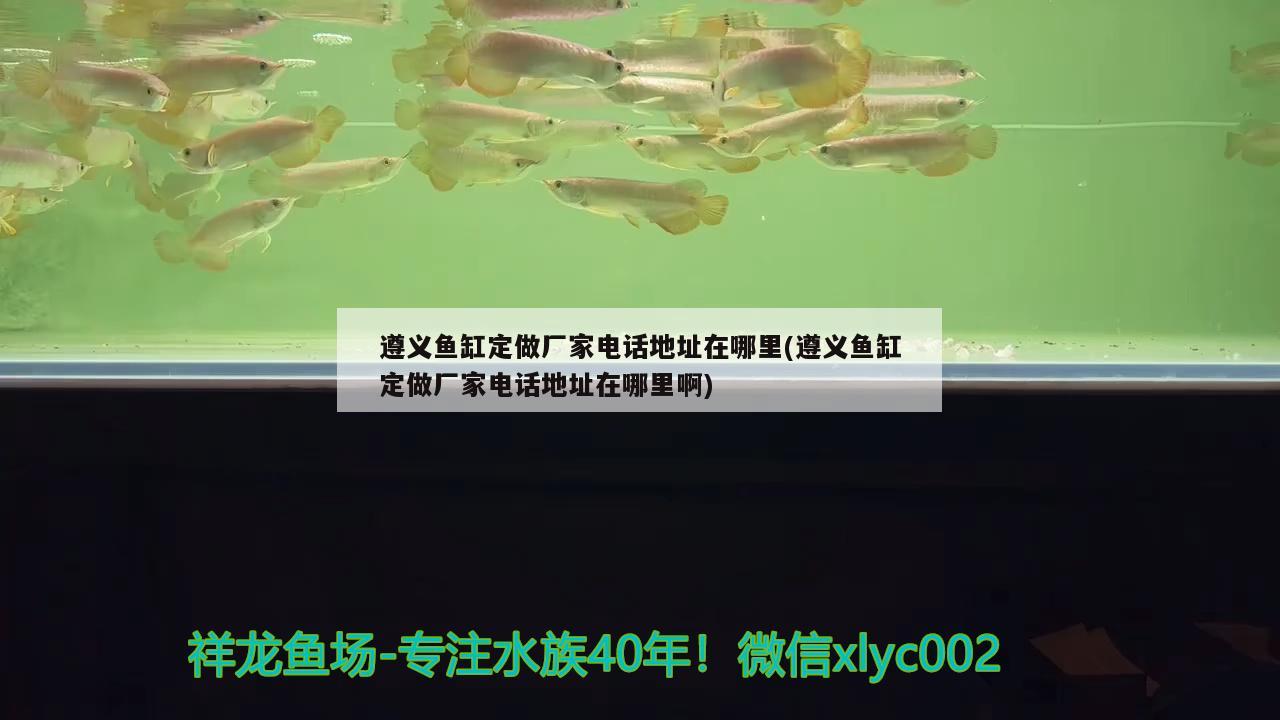 遵義魚缸定做廠家電話地址在哪里(遵義魚缸定做廠家電話地址在哪里啊) 巴西亞魚