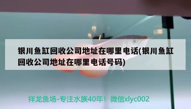 銀川魚缸回收公司地址在哪里電話(銀川魚缸回收公司地址在哪里電話號(hào)碼) 豬鼻龜百科