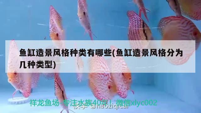 魚缸造景風(fēng)格種類有哪些(魚缸造景風(fēng)格分為幾種類型)