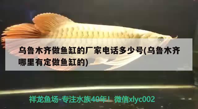 烏魯木齊做魚缸的廠家電話多少號(hào)(烏魯木齊哪里有定做魚缸的) 野彩魚