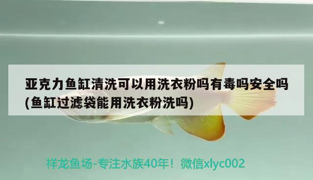 亞克力魚缸清洗可以用洗衣粉嗎有毒嗎安全嗎(魚缸過濾袋能用洗衣粉洗嗎)