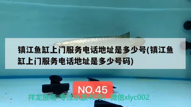 鎮(zhèn)江魚缸上門服務(wù)電話地址是多少號(hào)(鎮(zhèn)江魚缸上門服務(wù)電話地址是多少號(hào)碼) 狗仔招財(cái)貓魚