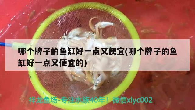 哪個牌子的魚缸好一點又便宜(哪個牌子的魚缸好一點又便宜的) 祥龍傳奇品牌魚缸