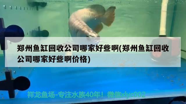 鄭州魚缸回收公司哪家好些啊(鄭州魚缸回收公司哪家好些啊價(jià)格) 國產(chǎn)元寶鳳凰魚