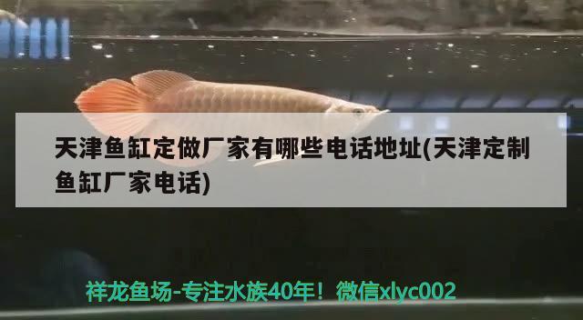 天津魚缸定做廠家有哪些電話地址(天津定制魚缸廠家電話)