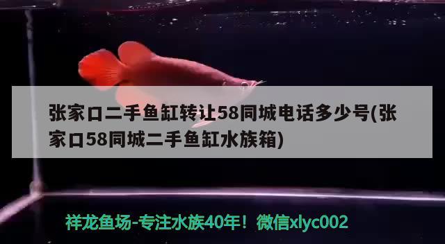 張家口二手魚缸轉讓58同城電話多少號(張家口58同城二手魚缸水族箱) 魚缸/水族箱