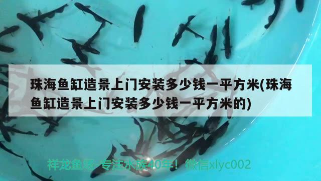 珠海魚缸造景上門安裝多少錢一平方米(珠海魚缸造景上門安裝多少錢一平方米的) 福滿鉆魚