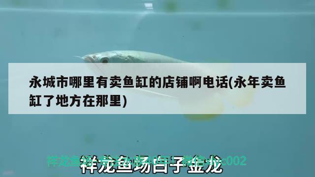 永城市哪里有賣魚缸的店鋪啊電話(永年賣魚缸了地方在那里)