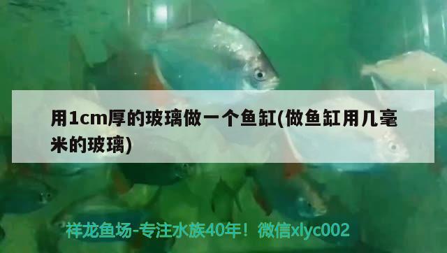 用1cm厚的玻璃做一個(gè)魚(yú)缸(做魚(yú)缸用幾毫米的玻璃) 蝴蝶鯉