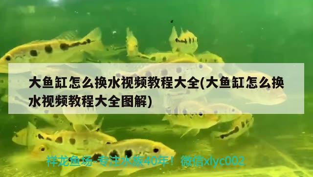 大魚(yú)缸怎么換水視頻教程大全(大魚(yú)缸怎么換水視頻教程大全圖解)