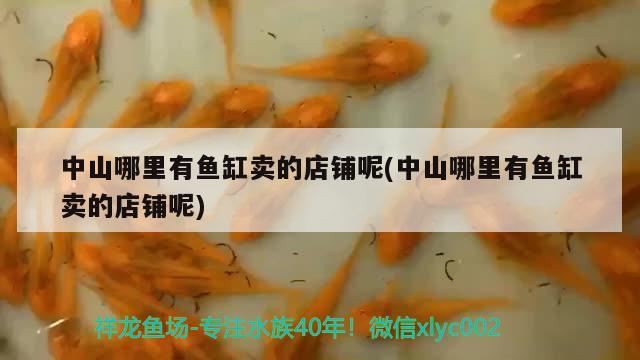 中山哪里有魚缸賣的店鋪呢(中山哪里有魚缸賣的店鋪呢) 照明器材