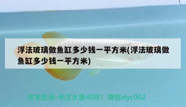 浮法玻璃做魚(yú)缸多少錢(qián)一平方米(浮法玻璃做魚(yú)缸多少錢(qián)一平方米)